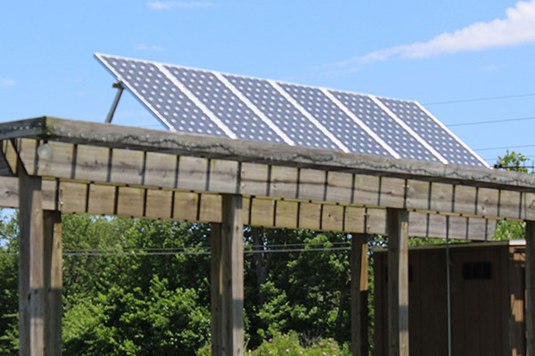 A solar panel sits on top of a wooden trellis.