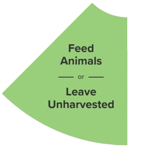 Feed Animals or Leave Unharvested