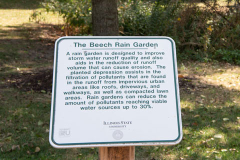 A photo of a rain garden sign that reads: The Beech Rain Garden. A rain garden is designed to improve storm water runoff quality adn also aids in the reduction of runoff volume that can cause erosion. The planted depression assists in the filtration of pollutants that are found in the runoff from impervious urban areas like roofs, driveways, adn walkways, as well as compacted lawn areas. Rain gardens can reduce the amount of pollutants reaching viable water sources up to 30%.