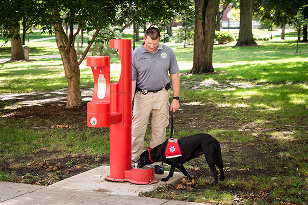 Pawfficer Sage stops for a drink out of the dog water fountain attached to the outdoor water bottle filling station.