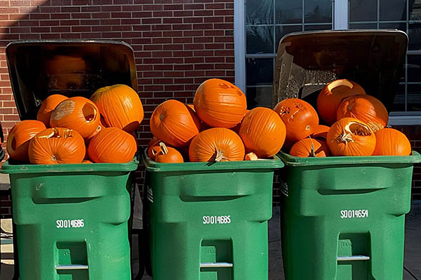 Pumpkins overfill three composting bins.